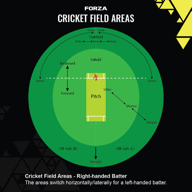 Cricket Field Areas Cricket