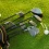 What Are the Different Types of Golf Clubs
